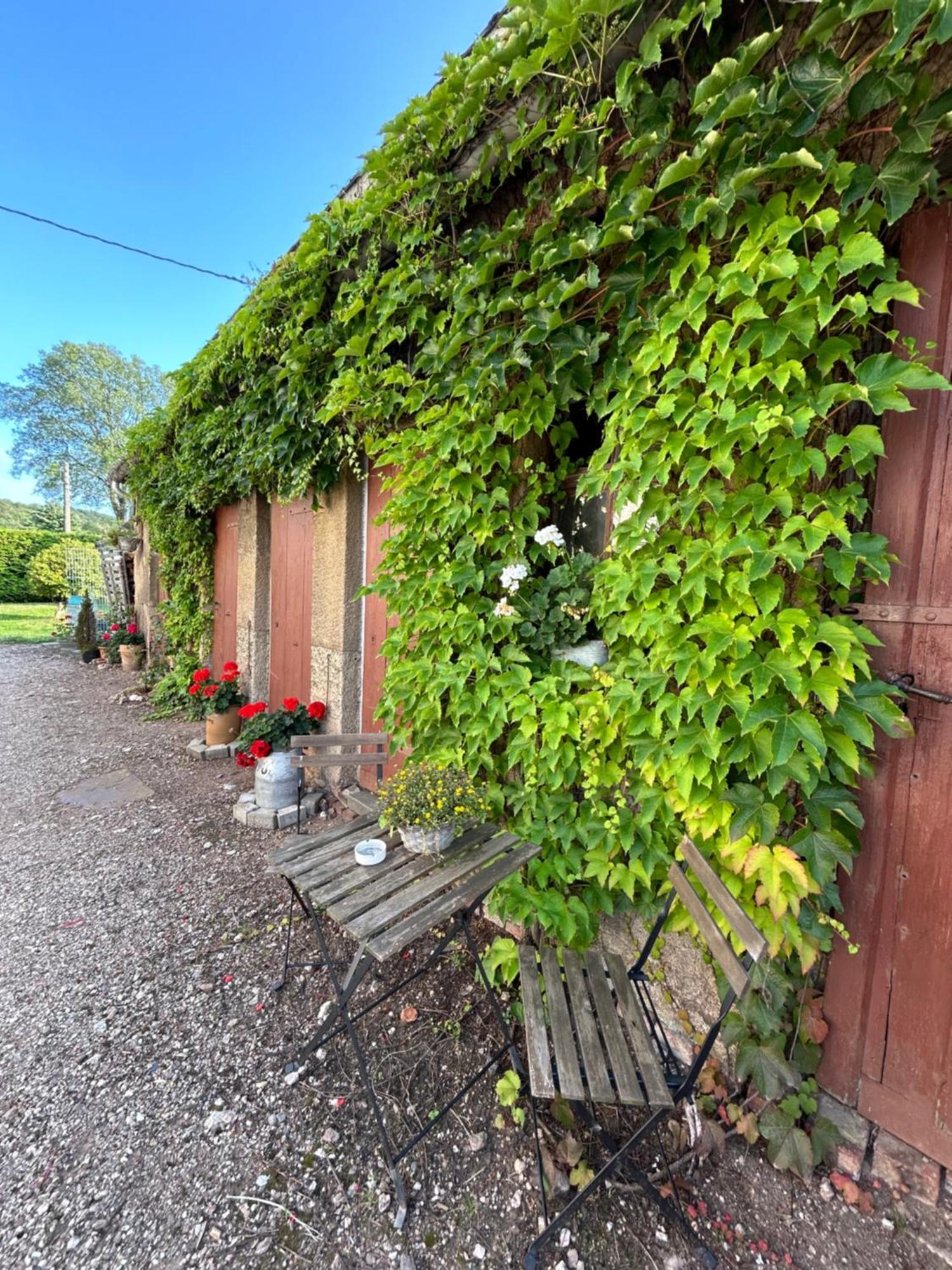 Geraeumige Ferienwohnung Im Gruenen Lichtenstein  Exteriör bild